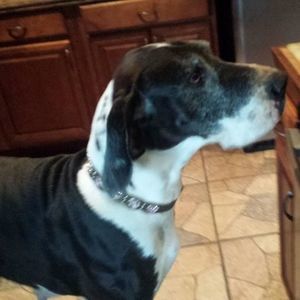 Meet your Posher, Christopher